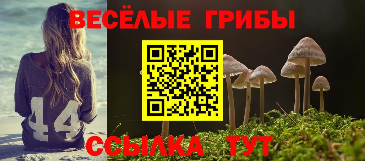 где можно купить наркотик  Вход с VPN  Миллерово  Псилоцибиновые грибы MAGIC MUSHROOMS 